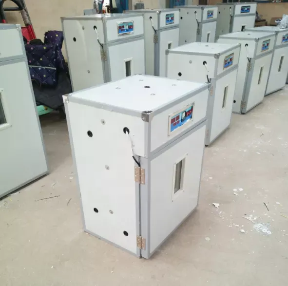 couveuse des oeufs Elttec Africa